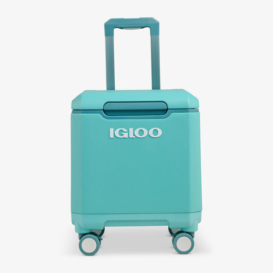 tag-along-too-spinner-cooler-c6 00033184-F1_b51e854c-365a-4272-b384-7c3dd41ac0b8.jpg
