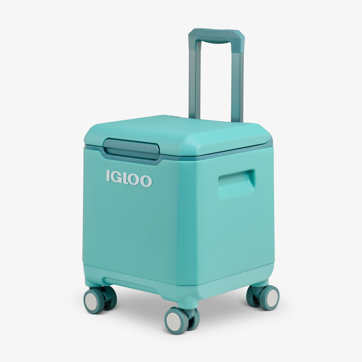 tag-along-too-spinner-cooler-c6 00033184-H3_fdf80c81-356d-4155-97e7-611821b8cef5.jpg