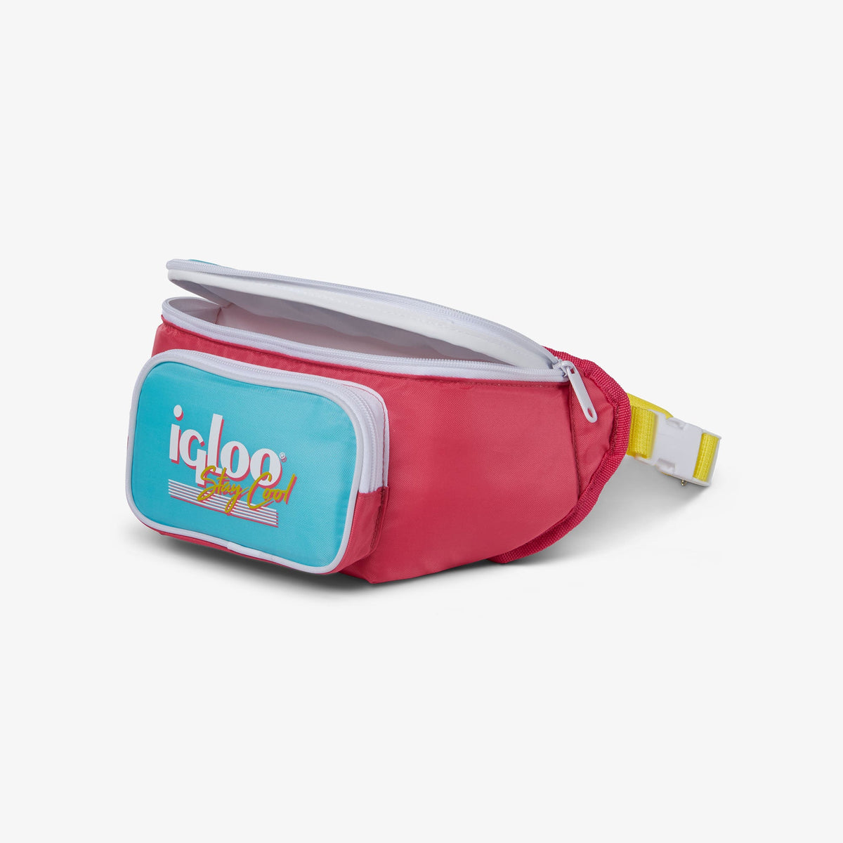 retro-fanny-pack-p1 00066058-O1.jpg